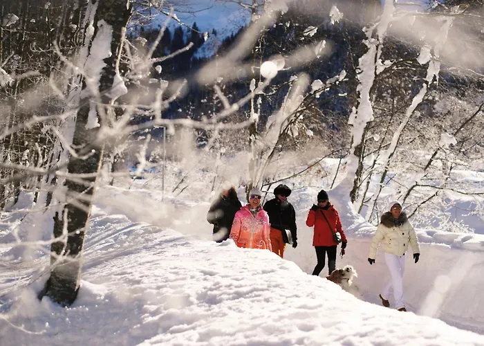 Parkareal - Freier Blick Auf Berge, Ruhig, Sonnig, Sw-balkon, Parkplatz Apartment Davos